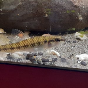20200826_174345.jpg