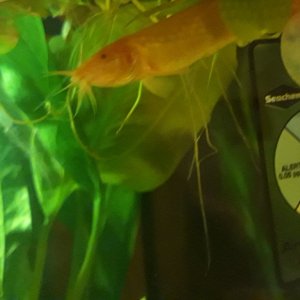 20200830_230509.jpg