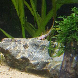 20200902_181930.jpg