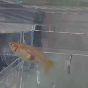 20200906_000211.jpg