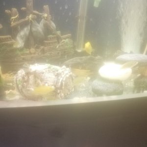IMG_20200906_063538.jpg