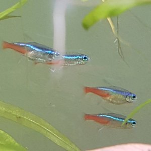 20200906_154939.jpg