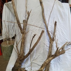 20200903_161309.jpg