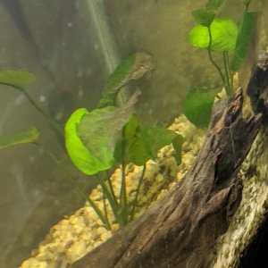 plant3.jpg