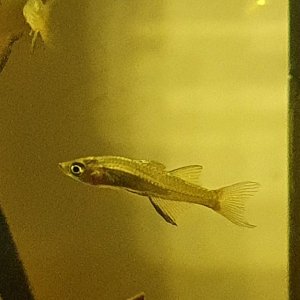 20200914_222142.jpg