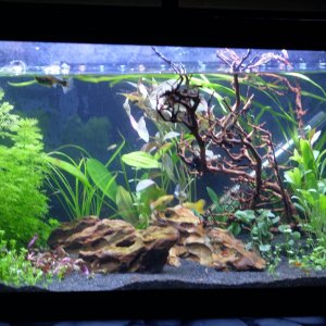 DSCF2483.JPG