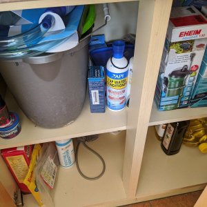 MVIMG_20200915_103953.jpg
