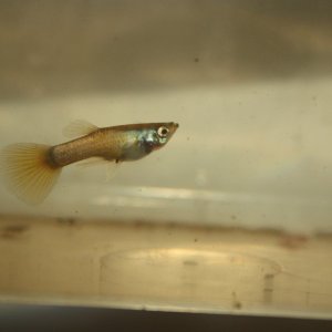 IMG_4610.JPG