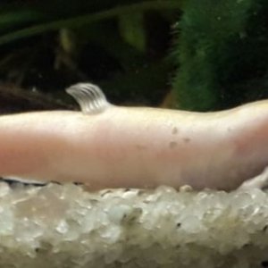 20200917_173609.jpg