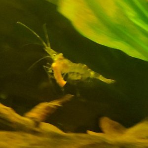 20200828_234205.jpg