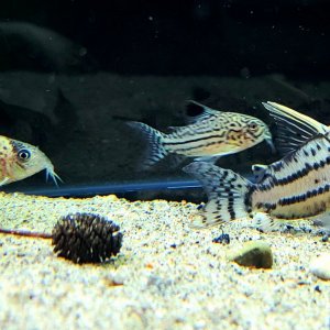 20200920_235318.jpg
