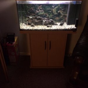 45quid.jpg