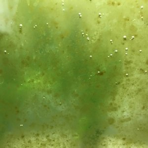 D7E94ED4-EA3E-4443-90E6-57A41D3BC453.jpeg