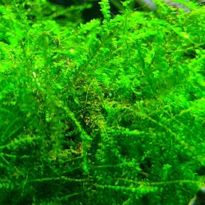 20200924_203229.jpg