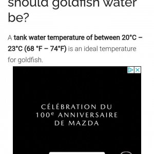 Screenshot_20200925-120708_Samsung Internet.jpg