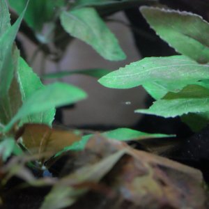 DSCF3418.JPG