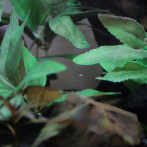 DSCF3416.JPG