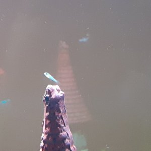 20200928_183203.jpg