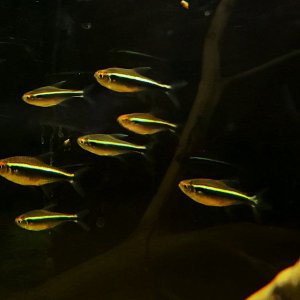 20200928_195415.jpg