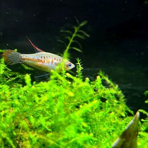 20200924_214439.jpg
