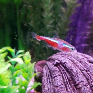20201002_221643.jpg