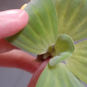 20201003_111806.jpg