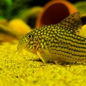 20201002_225814.jpg