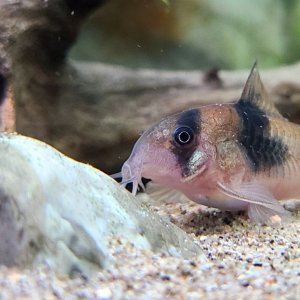 20201004_110847.jpg