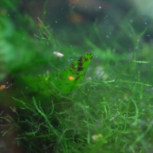 DSCF3638.JPG