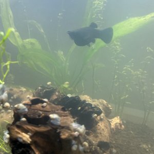 IMG_1548.jpeg