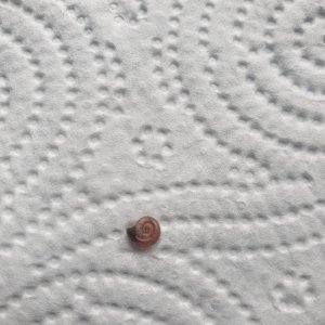 20201006_124338.jpg