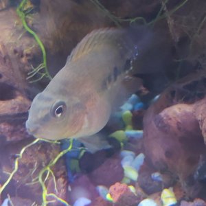 20201002_103733.jpg