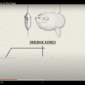 Screen Shot 2020-09-13 at 6.12.55 PM.png
