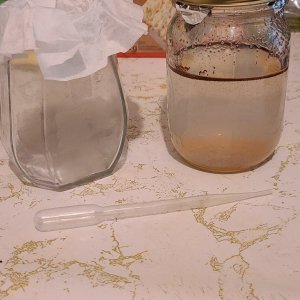 20201008_182059.jpg