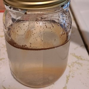 20201008_182119.jpg