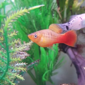 20201004_125557.jpg