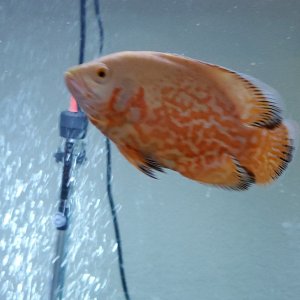 20201010_171245.jpg