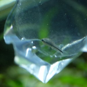 DSCF4296.JPG