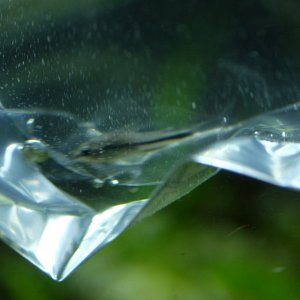 DSCF4286.JPG