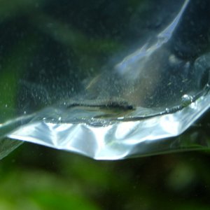 DSCF4282.JPG