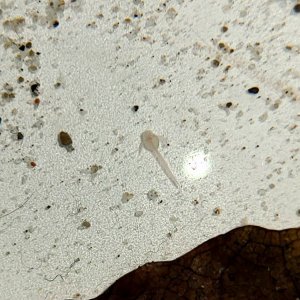 20201009_230618.jpg