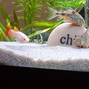 20201017_170953.jpg