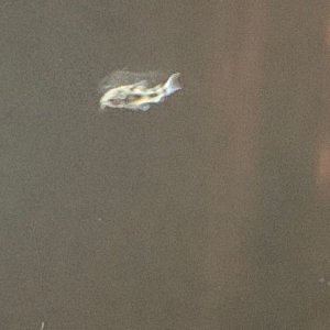 IMG_0193.jpg