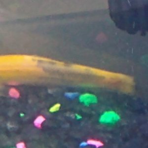 IMG_20201020_170720118.jpg