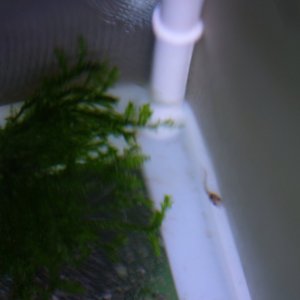 DSCF4655.JPG