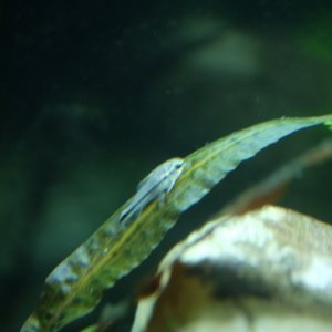 DSCF4628.JPG