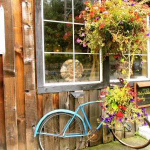 Bakery Cowichan Bay.jpg