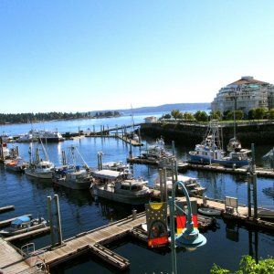 Nanaimo Harbour 2014.jpg