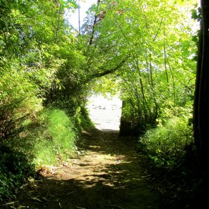 Path leading to beach Mill Bay.jpg