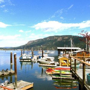 Cowichan bay  0.jpg